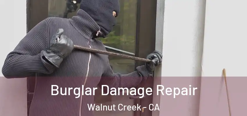  Burglar Damage Repair Walnut Creek - CA