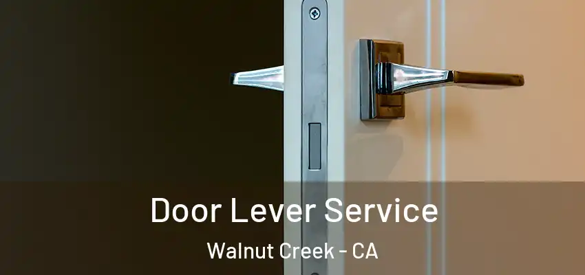  Door Lever Service Walnut Creek - CA