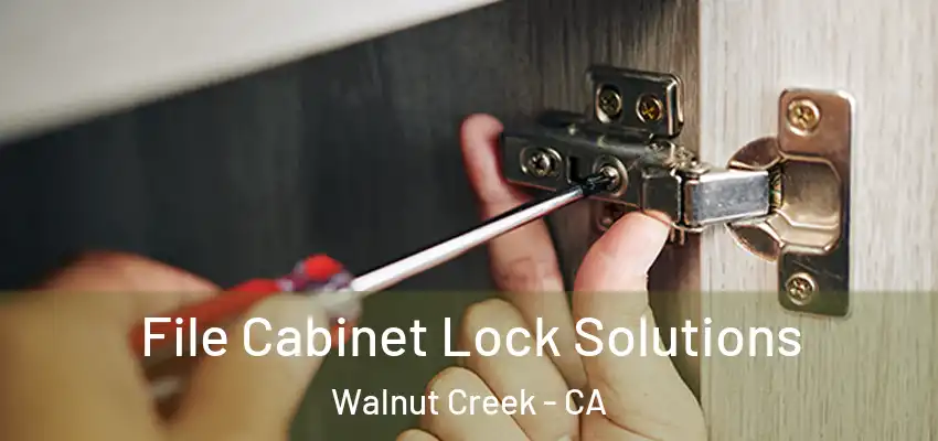  File Cabinet Lock Solutions Walnut Creek - CA